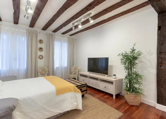 Precioso Apartamento Con Entrada Autonoma En El Casco Viejo